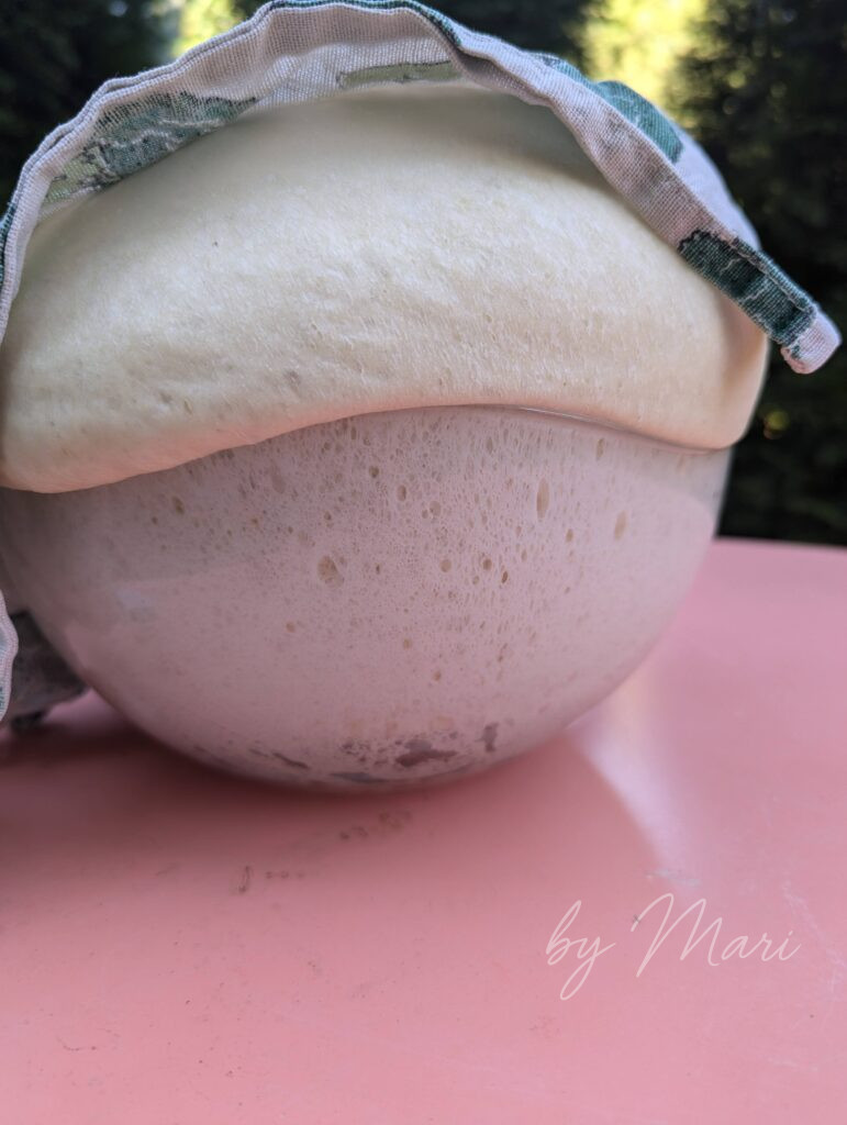 тесто для пиццы