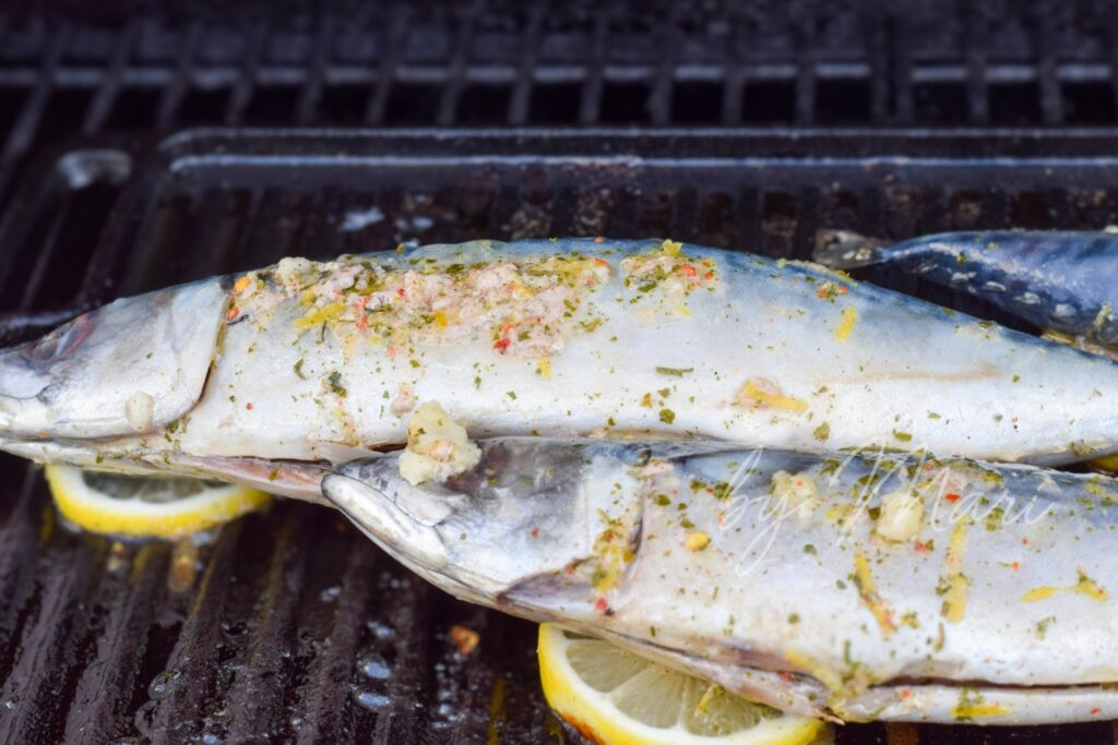 скумбрия на костре