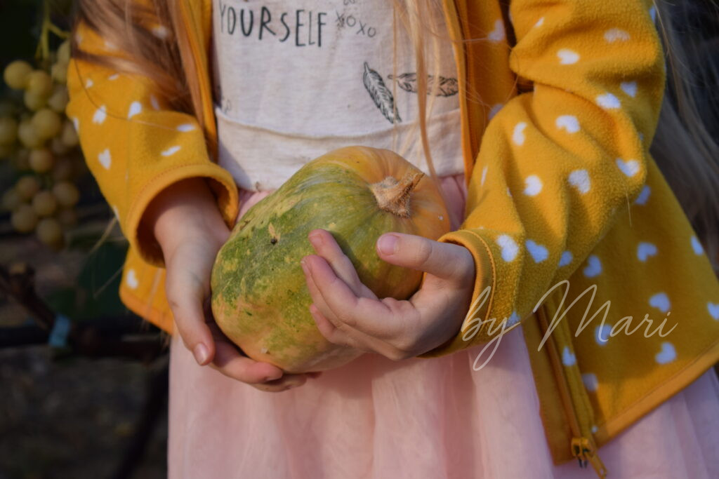 фото тыквы в руках