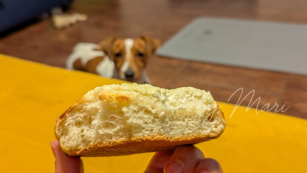 ватрушка и собака