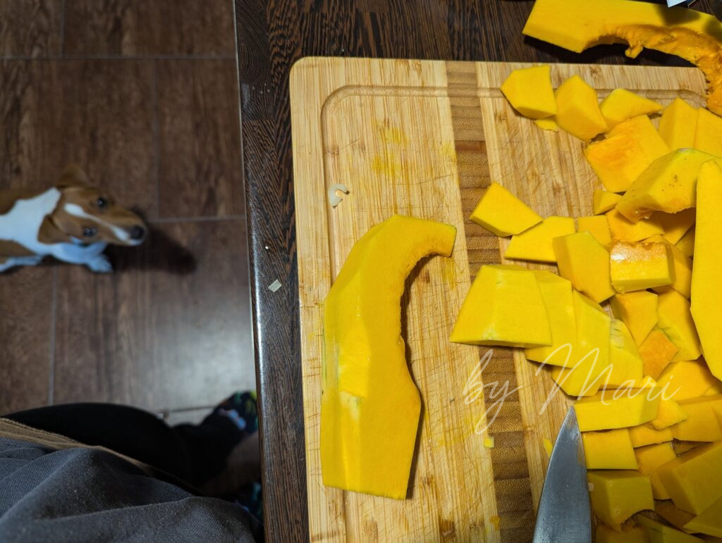 тыква и собака