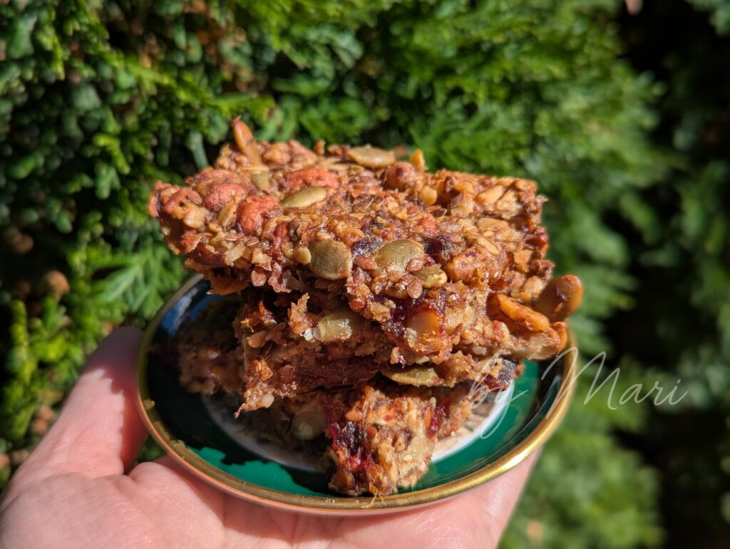 батончик для похода