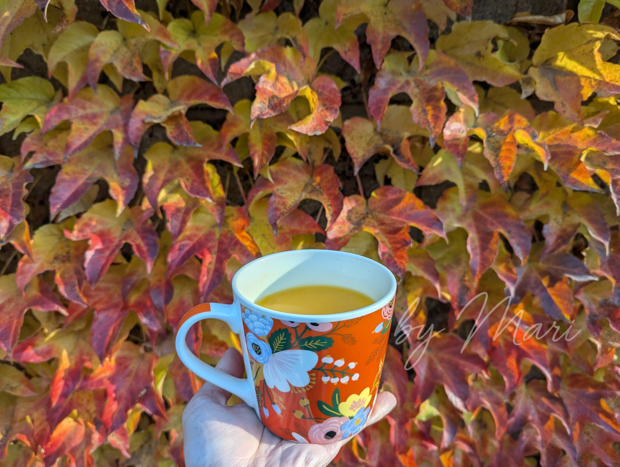 облепиховый чай