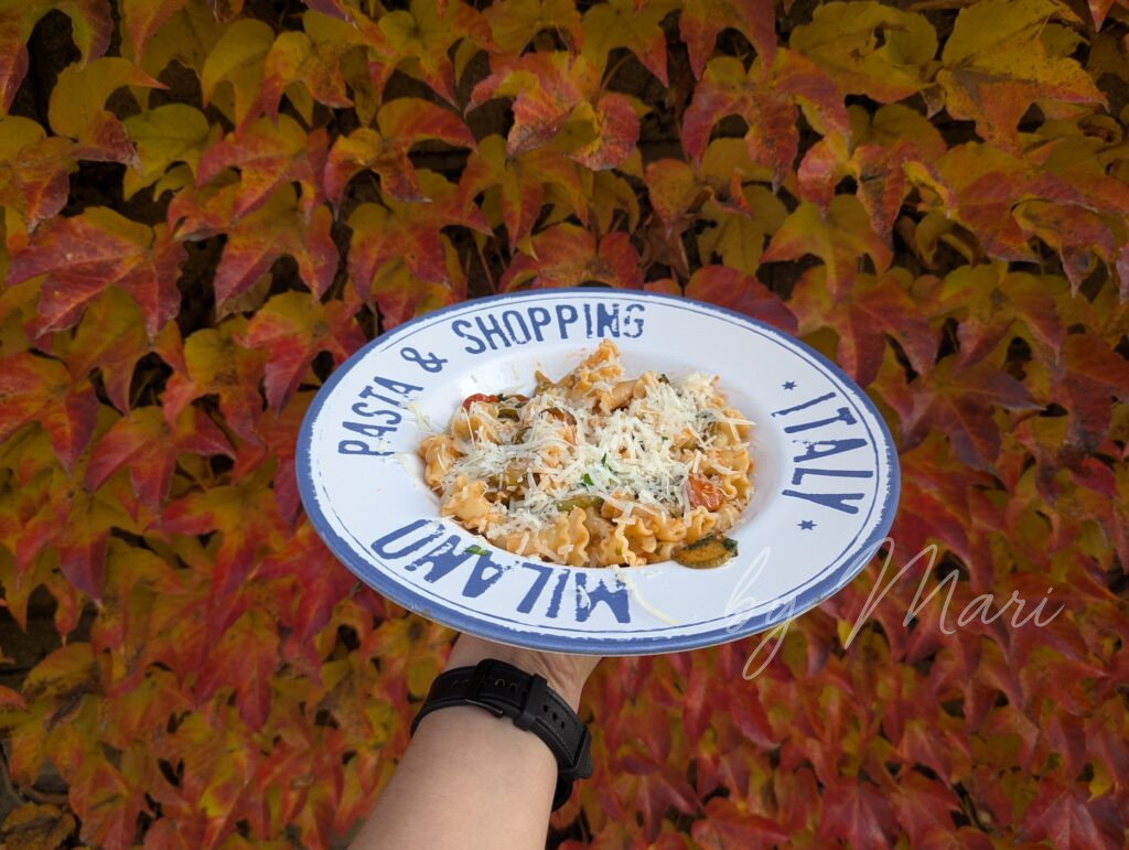 ΠΈΡΠ°Π»ΡΡΠ½ΡΠΊΠ°Ρ ΠΏΠ°ΡΡΠ° Π½Π° ΡΠ°ΡΠ΅Π»ΠΊΠΈ