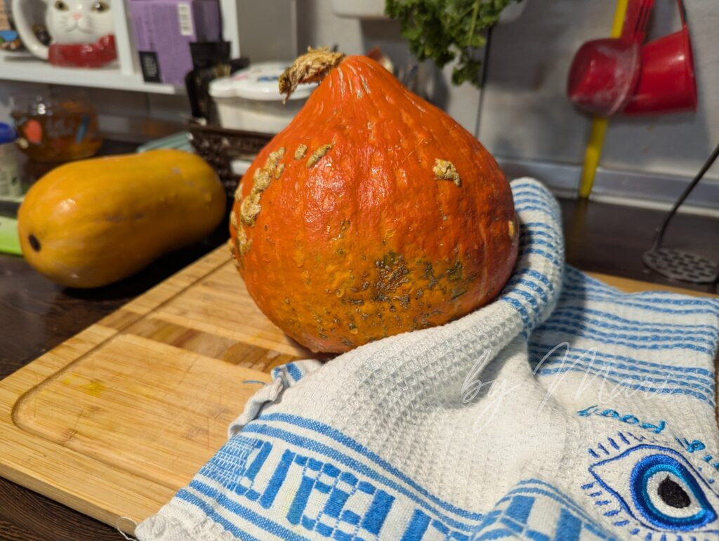 выбор тыквы